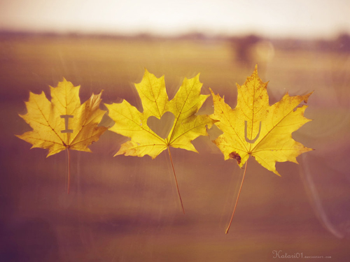 Thiên bình và tình yêu với các cung?