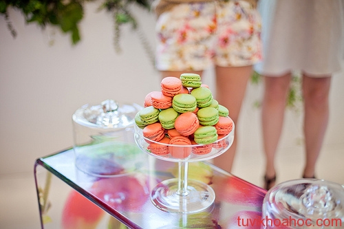 20121091537-121009quizsongngu02