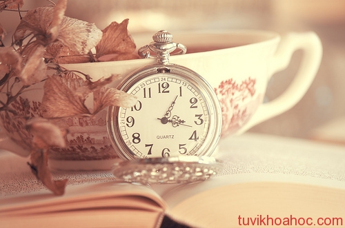 20131202559-cung-hoang-dao-bach-duong-01