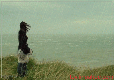 Ý nghĩa giấc mơ về mưa gió