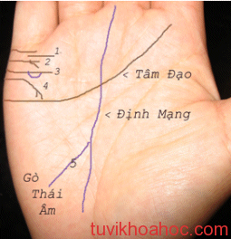 Cách xem tướng qua đường chỉ tay