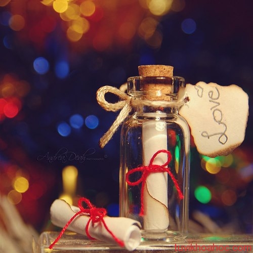 479734_451417654923422_461737374_n