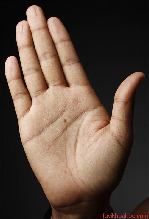 572efd20d34bc652e200586c0a628734