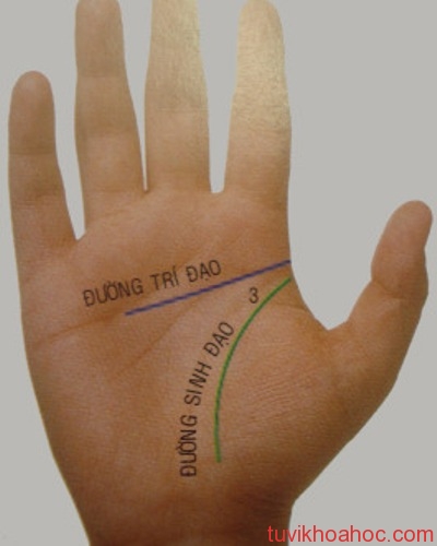 77a5495a0ee3088ec0bf0934b221dfd7