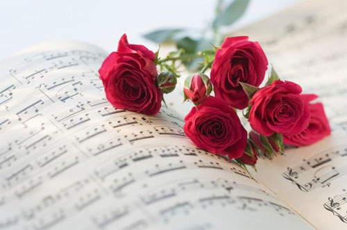  Nữ sư tử có hợp với nam ma kết không?