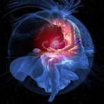 Cung hoàng đạo bọ cạp và bọ cạp