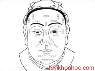 Thuat-xem-tuong-tho-menh_Tin180.com_001