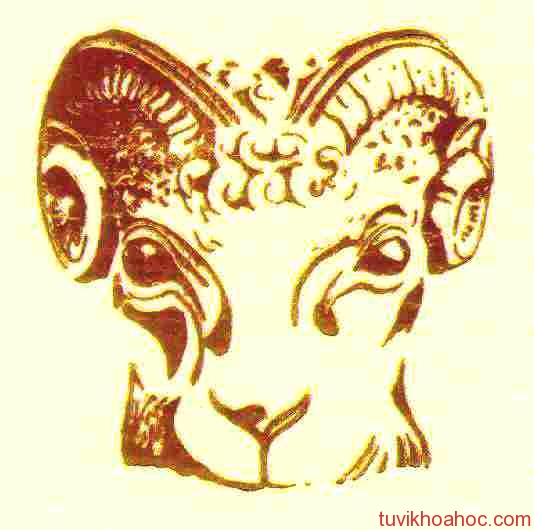 aries-ram-pic