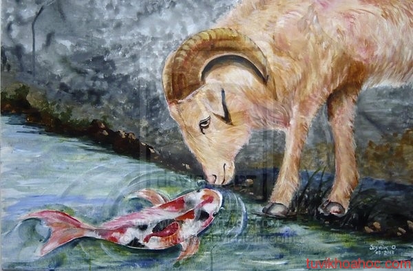 bach duong va song ngu