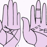 Tướng đường chỉ tay sinh lực