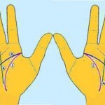 Tướng đường chỉ tay: Định mệnh – Số phận – May mắn