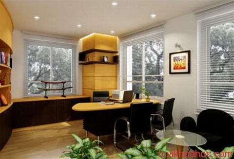 cay-xanh-cho-van-phong_infn