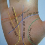 Tướng đường chỉ tay: Tâm tính – Tâm đạo – Tâm huyết