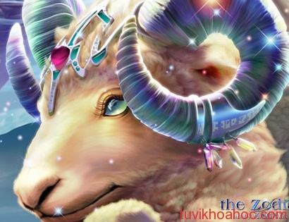 coiboi_com_vn_Bach_Duong