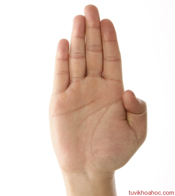 do-chung-thuy-qua-ban-tay