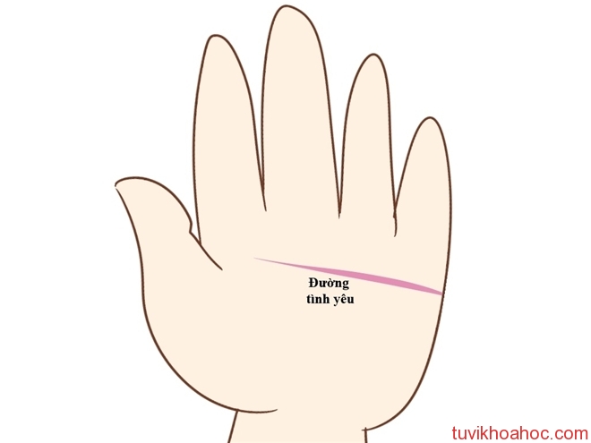 do-chung-thuy-qua-ban-tay4