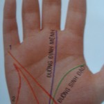 Tướng chỉ tay đường sinh mệnh phụ