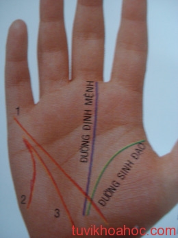 image_25617_DSC01474