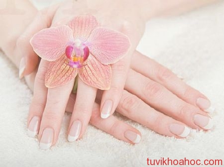  Xem tướng số qua ngón tay