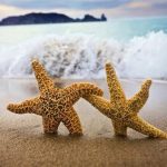 Cung nhân mã và xử nữ có hợp nhau không?