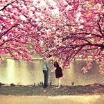 Cung sư tử nữ và cung bạch dương nam