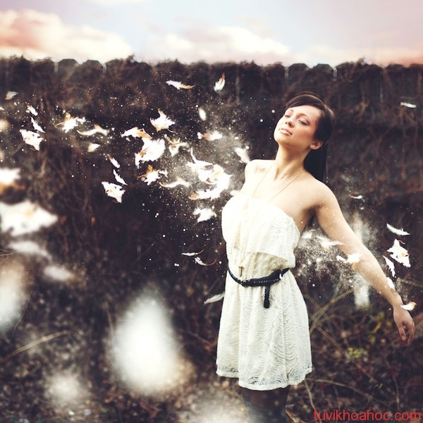 Giấc mơ của cô gái