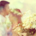 Song tử và tình yêu các cung