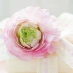 Cung bảo bình có hợp với cung song tử không?