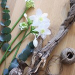 Giải mã giấc mơ thấy cây cối