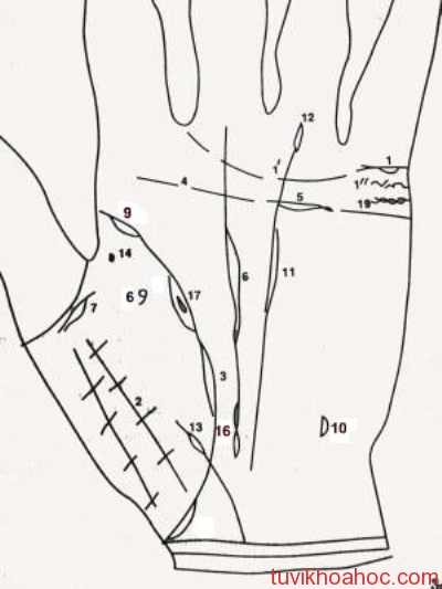 xem-chi-tay-nguoi-khong-chung-thuy