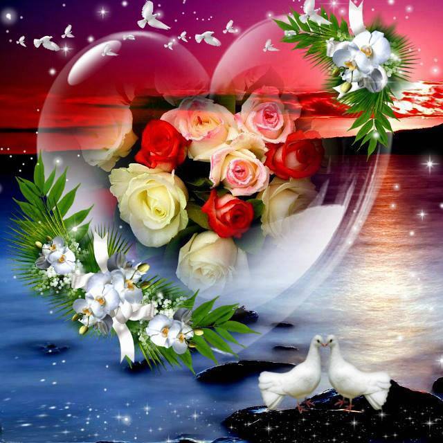 images1096653_hoahong_anhdep