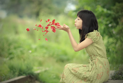 images1112953_bangai_honnhien