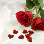 Tuổi Tý và tuổi Dậu có hợp nhau không?