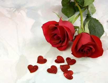 images785285_hoahongdo410