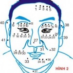 Tướng nốt ruồi đàn ông