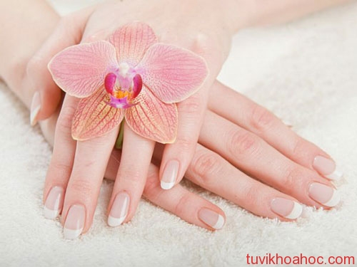 Độ dài ngón giữa để biết tính xấu của bạn