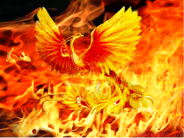 Chim phượng hoàng