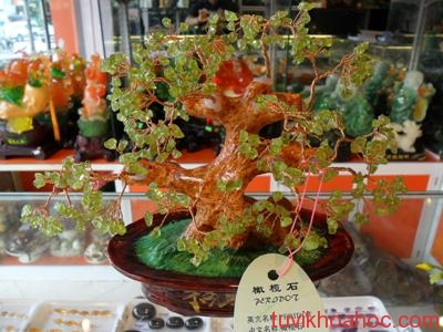 cay-tai-loc-da-peridote-lon