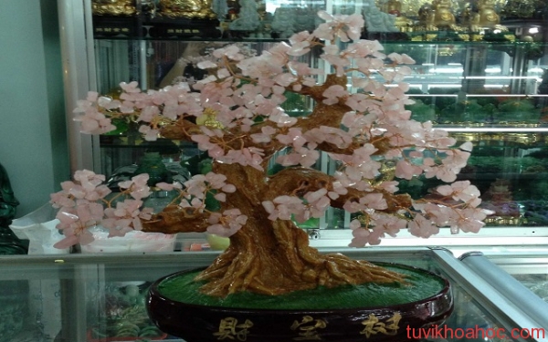 cay-tai-loc-da-thach-anh-hong-600x375