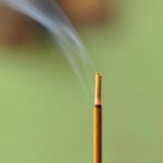 Cha mẹ có để tang con không?