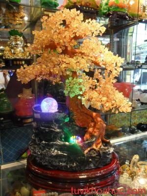 qua-bieu-sep-2013-cay-tai-loc