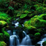 Chọn hướng treo tranh phong thủy trong nhà