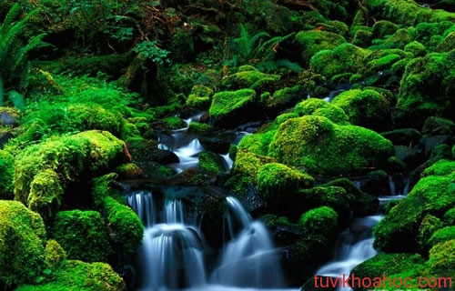 tranh-son-thuy-huu-tinh