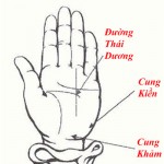 Xem mức độ giàu có qua đường chỉ tay Thái Dương