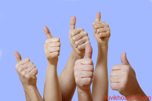 Xem tướng người qua độ dài ngón tay