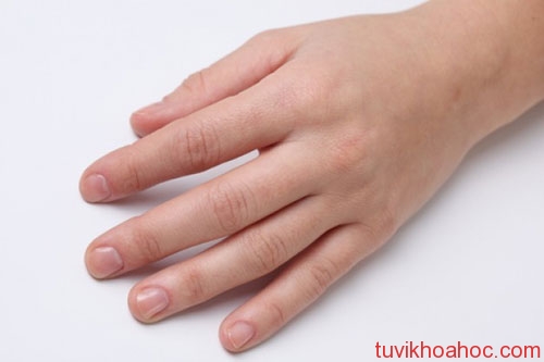 Xem tướng tay dài