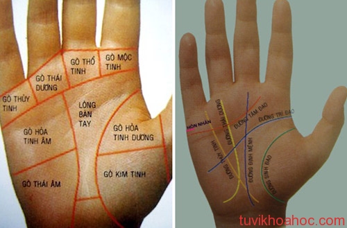  Xem tướng tay các đường chỉ tay