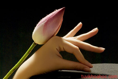  Xem tướng tay phụ nữ