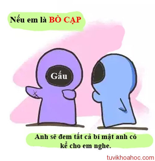 BoCap-5345-1399611354