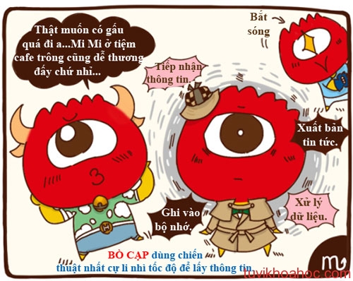 BoCap-6006-1393659768